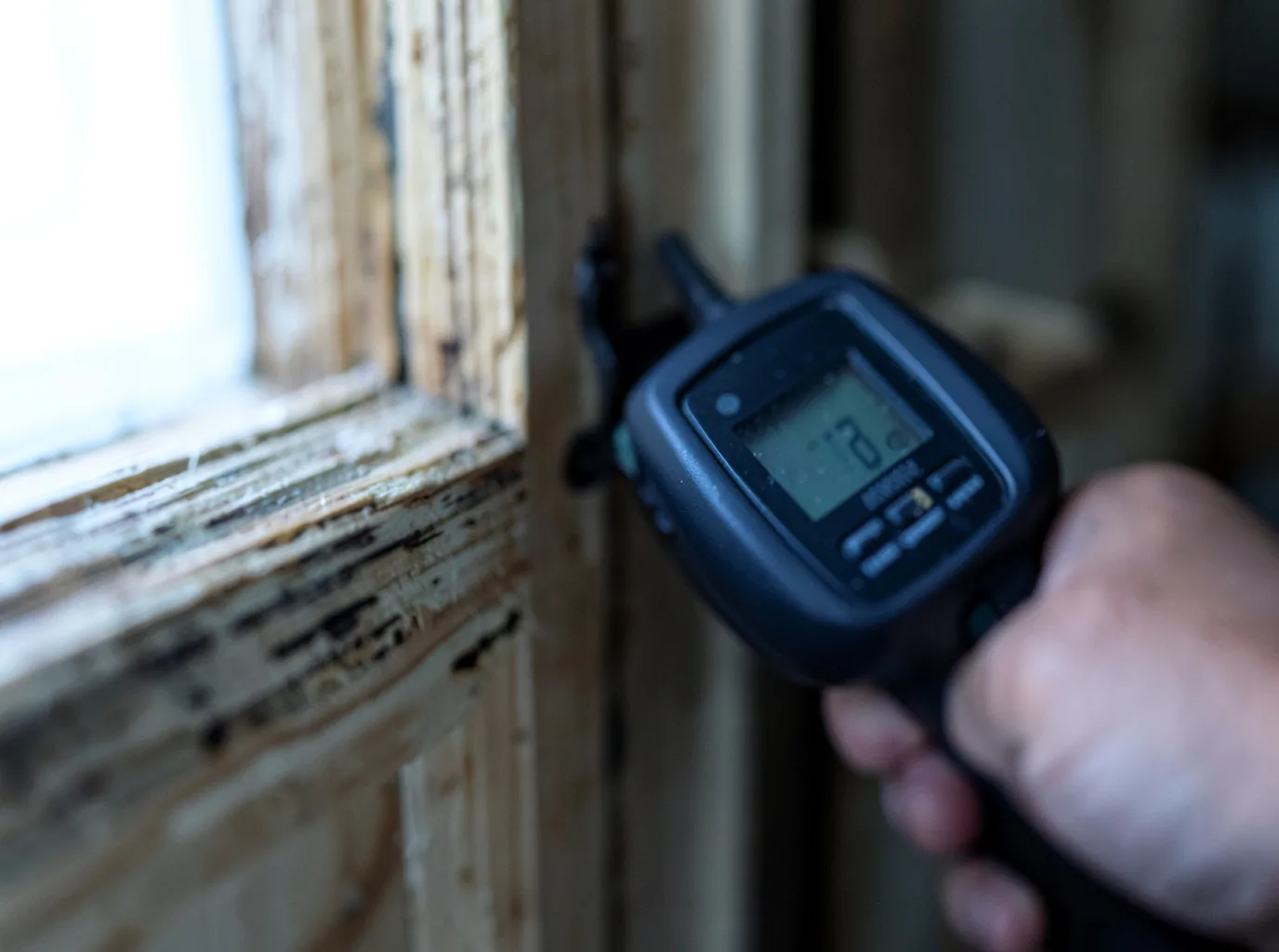 Commercial Water Damage Restoration in Randolph, WI